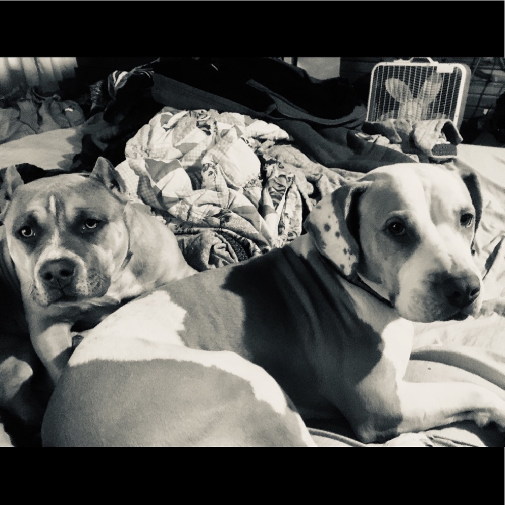 Meet your Posher, Bret